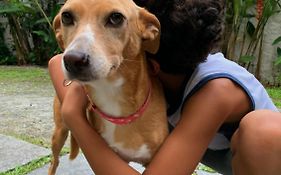 Pousada Manacá Paraty